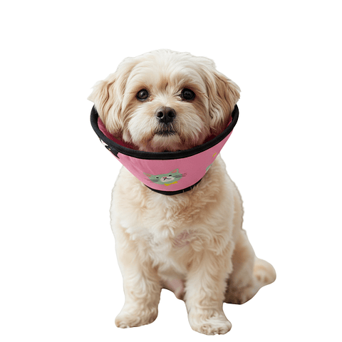 Cono para Mascota Color Rosa con Diseño de Gatos Talla 2