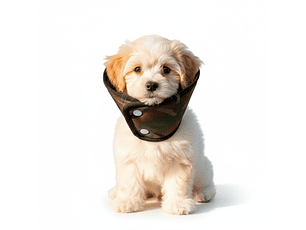 Cono para Mascota Color Camuflado con Diseño Militar Talla 3