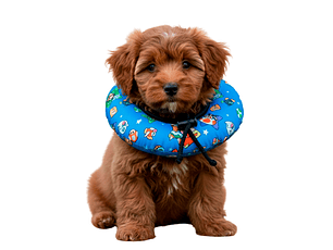 Dona Para Mascotas Color Celeste con Diseño de Mario Bross Talla XS