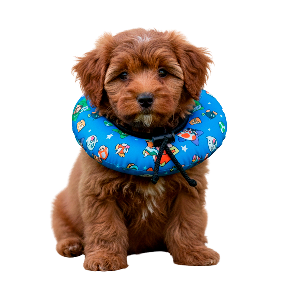 Dona Para Mascotas Color Celeste con Diseño de Mario Bross Talla XS 1