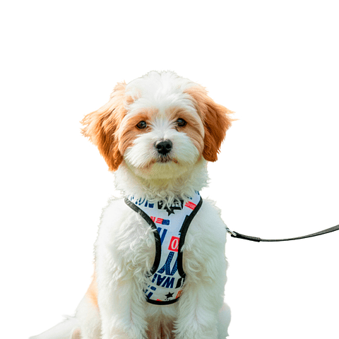 Pechera Básica para Mascotas Color Blanco Talla XS