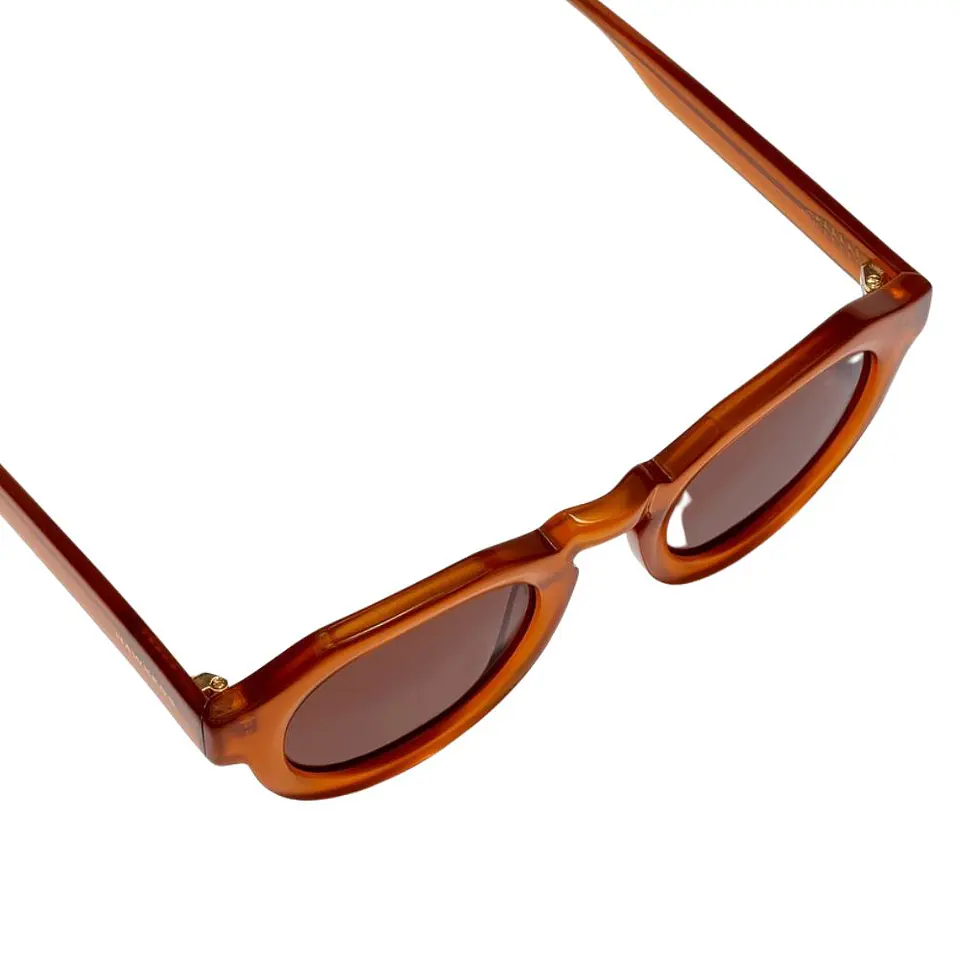 Gafas de Sol Hawkers WARWICK UPTOWN Marron Semitransparente Unisex Talla 47mm 4