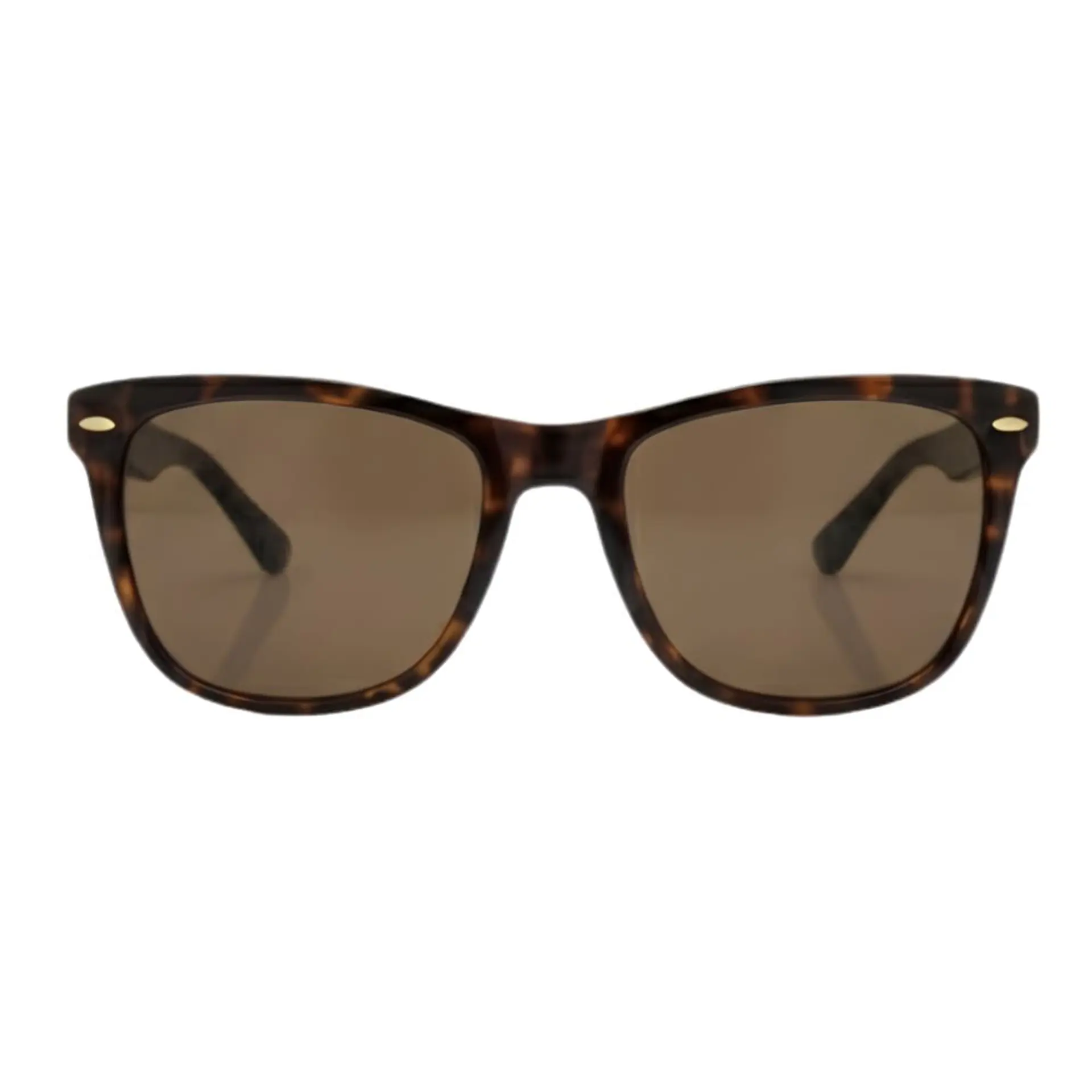 Gafas de Sol TOMMY HILFIGER OUTLOOK 66396141 Marron Habana Hombre Talla 57mm 3