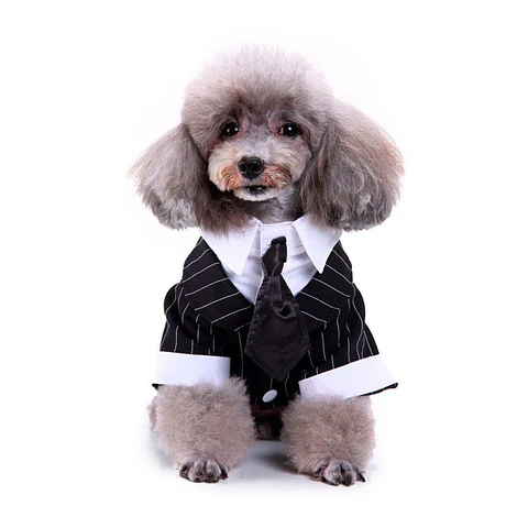 Disfraz Esmoquin Traje de Boda para Perro Elegante Negro y Blanco Talla M