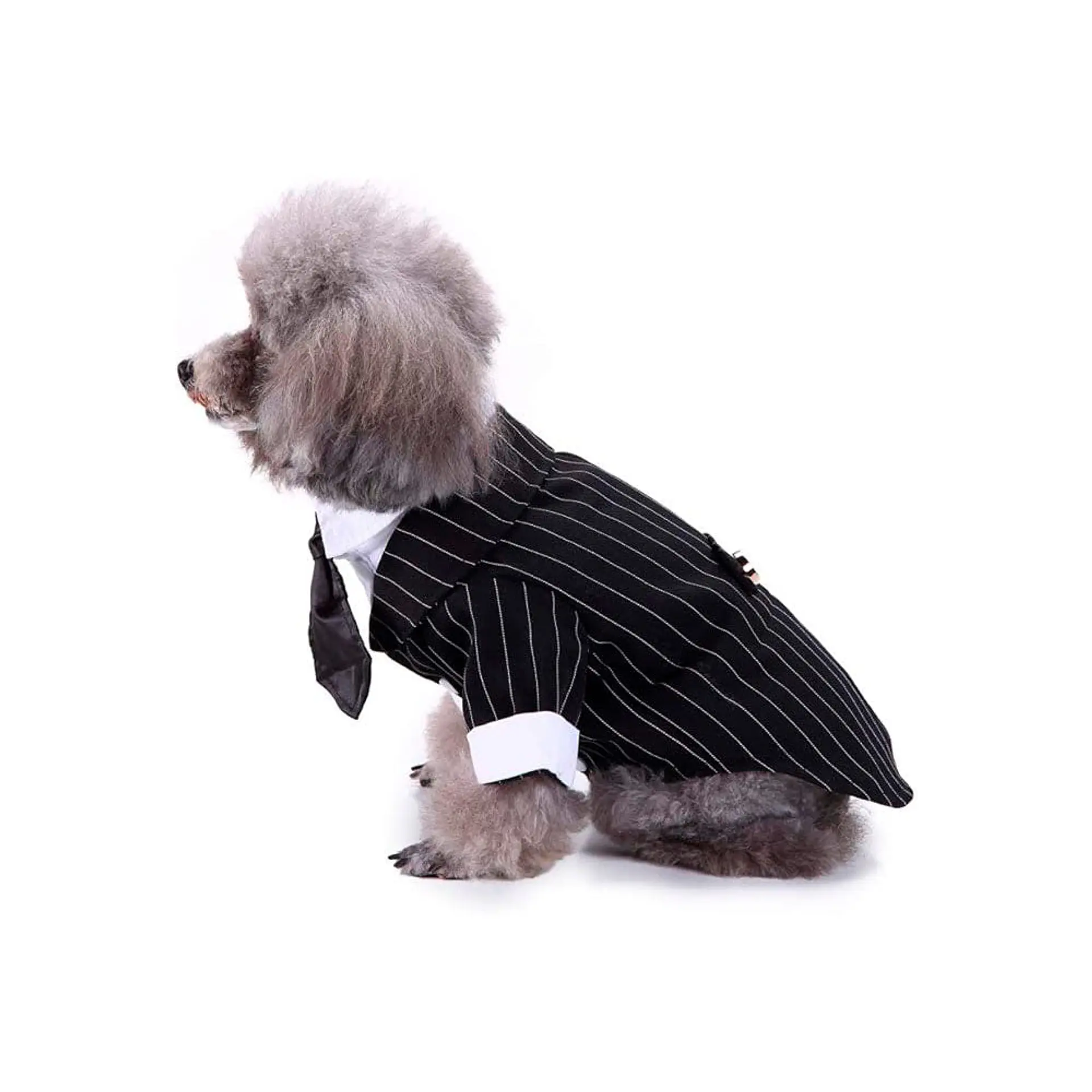 Disfraz Esmoquin Traje de Boda para Perro Elegante Negro y Blanco Talla M 3