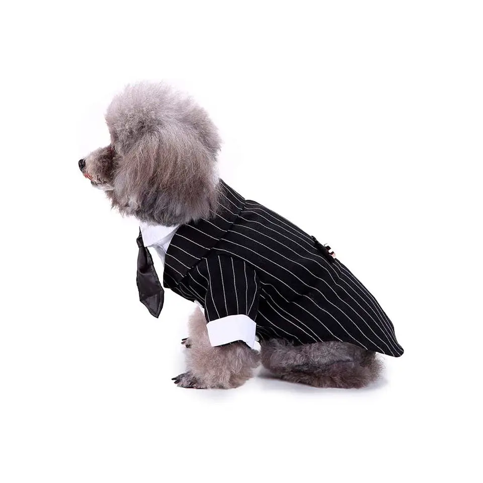 Disfraz Esmoquin Traje de Boda para Perro Elegante Negro y Blanco Talla M 3
