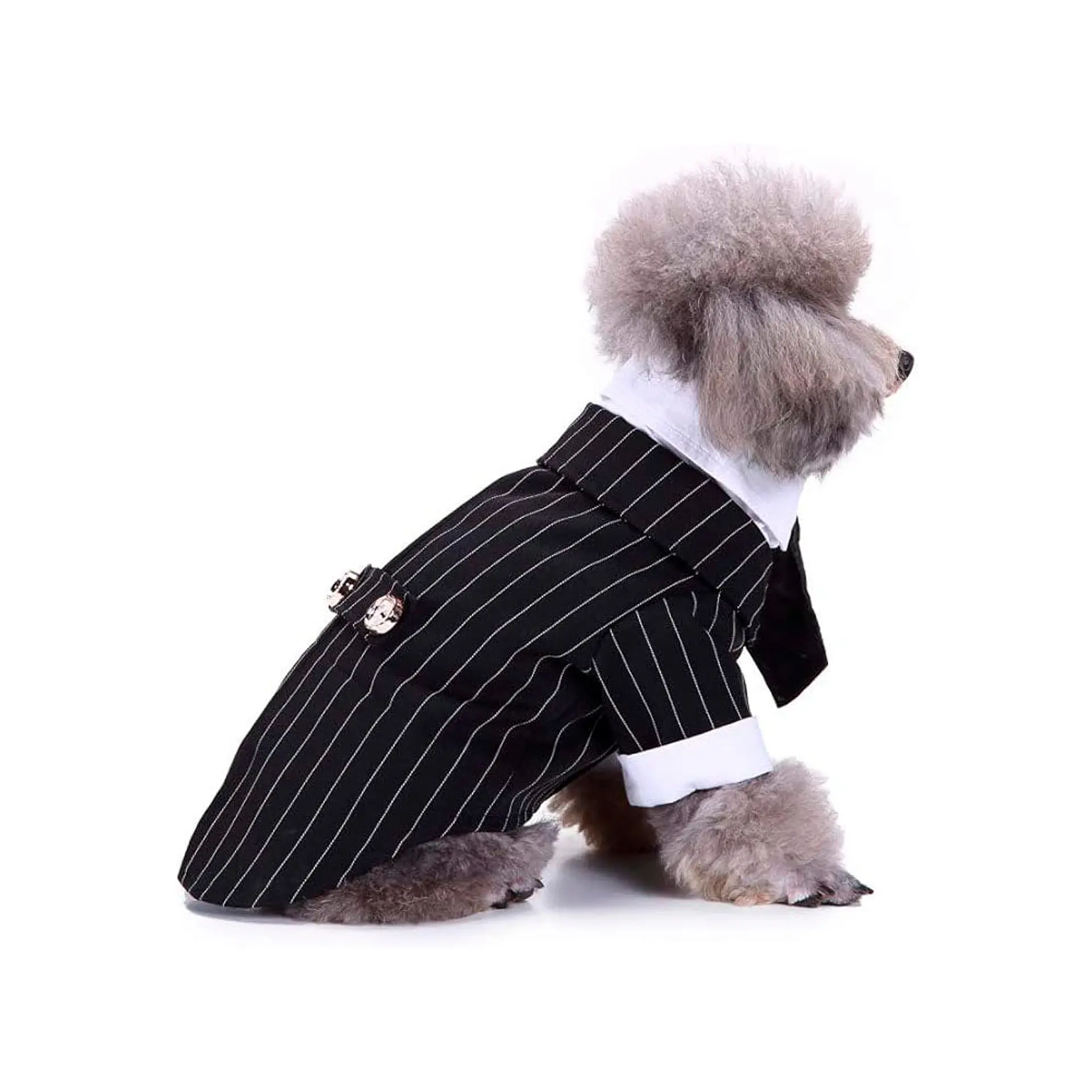Disfraz Esmoquin Traje de Boda para Perro Elegante Negro y Blanco Talla M 4