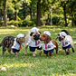 Disfraz Marinero para Perro y Gato Halloween Azul y Blanco Talla M - Miniatura 5