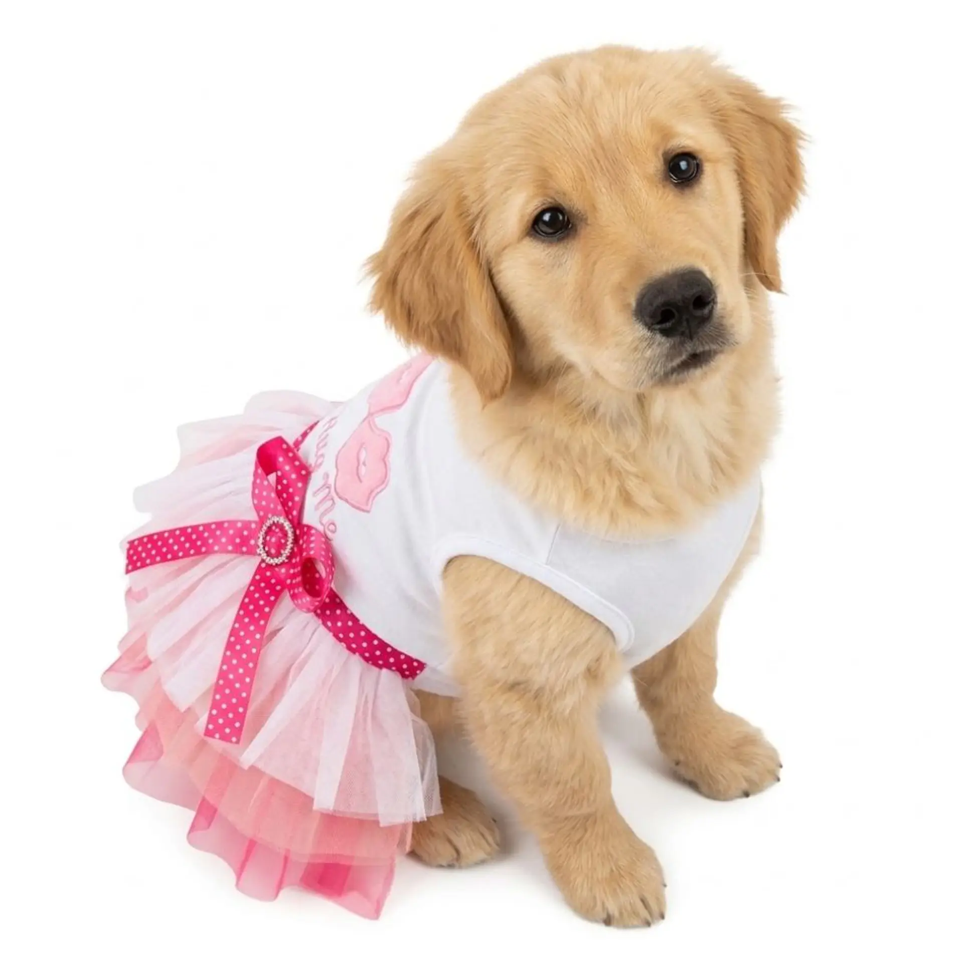 Disfraz Princesa para Perrita Vestido Halloween Rosado y Azul Talla S 1