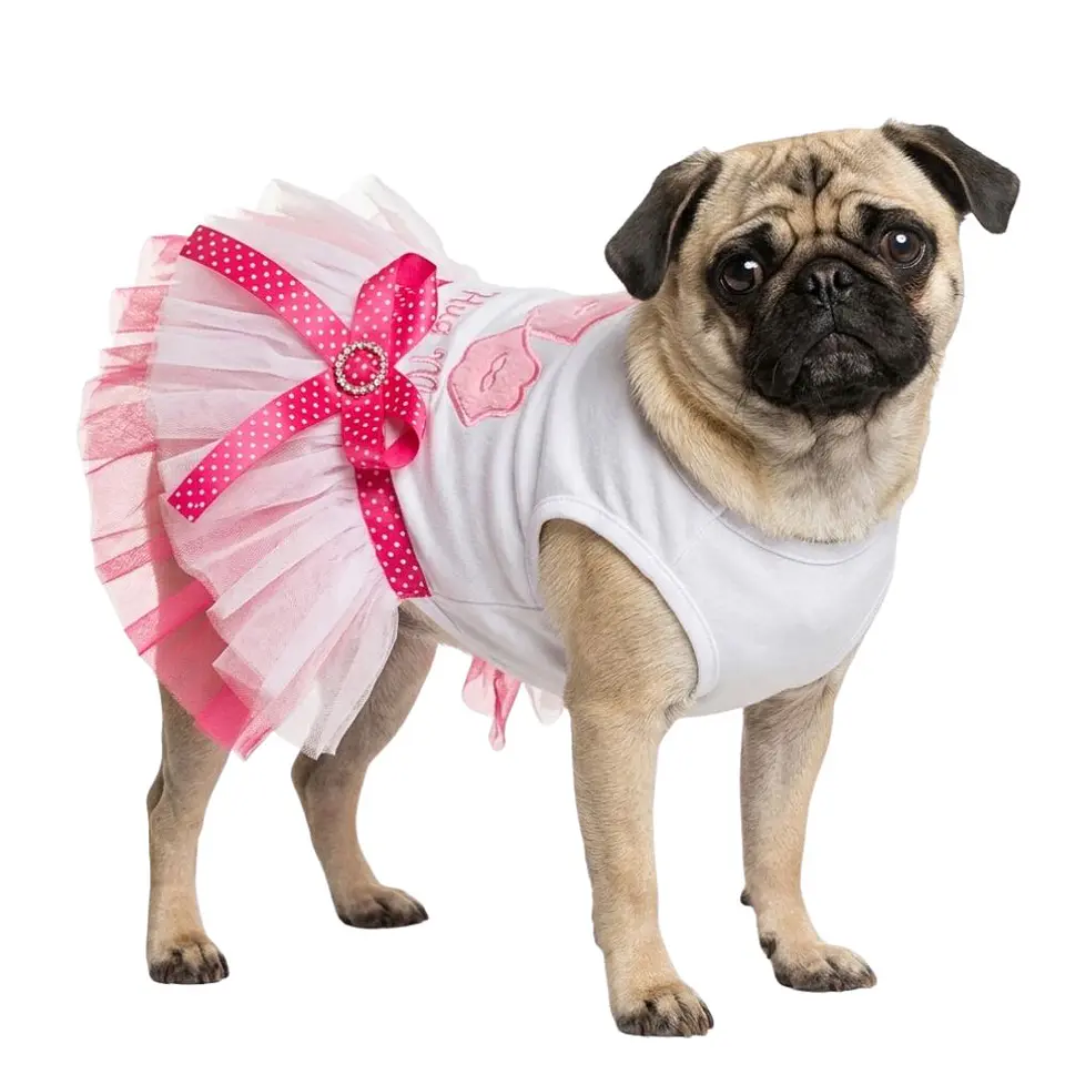 Disfraz Princesa para Perrita Vestido Halloween Rosado y Azul Talla S 2