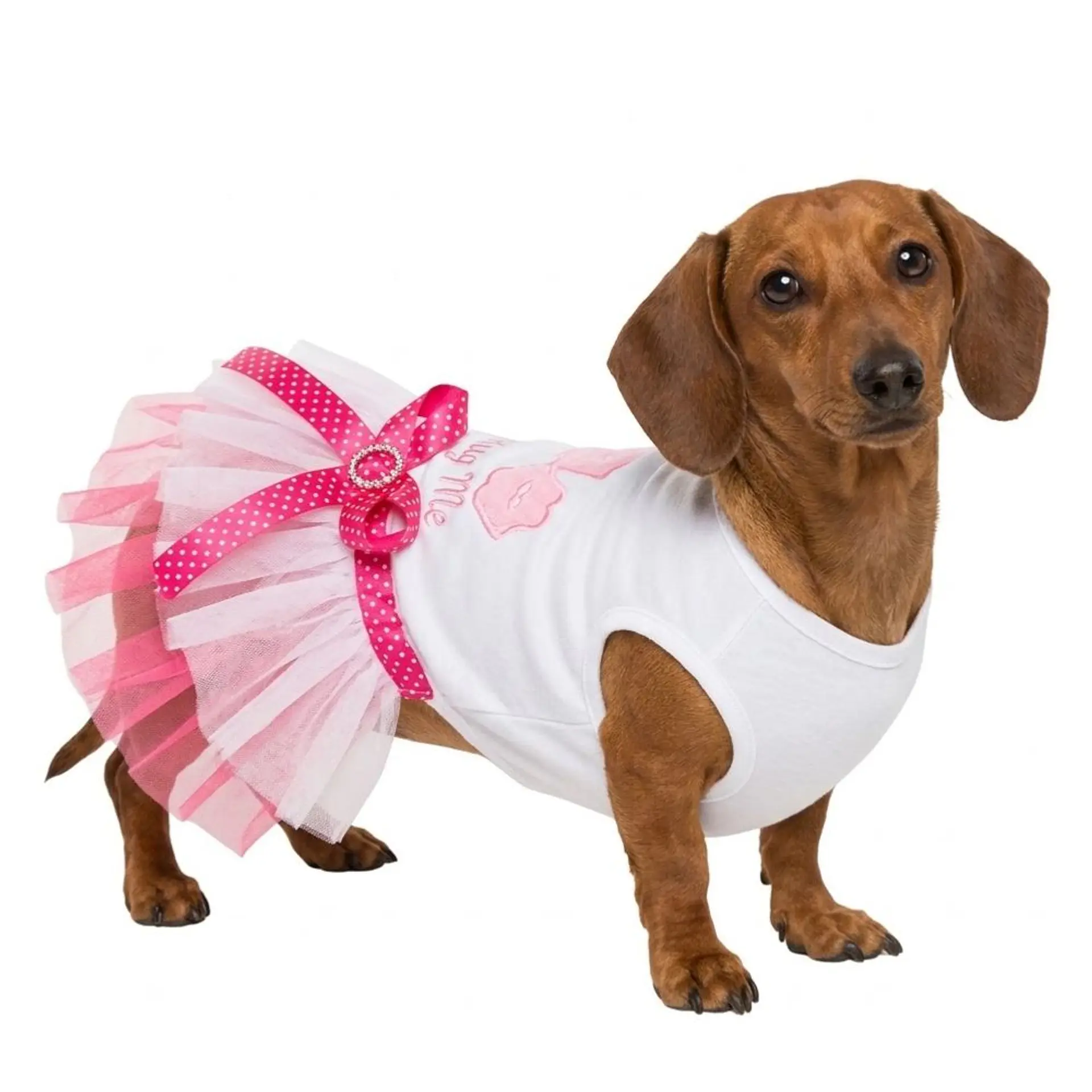 Disfraz Princesa para Perrita Vestido Halloween Rosado y Azul Talla S 3