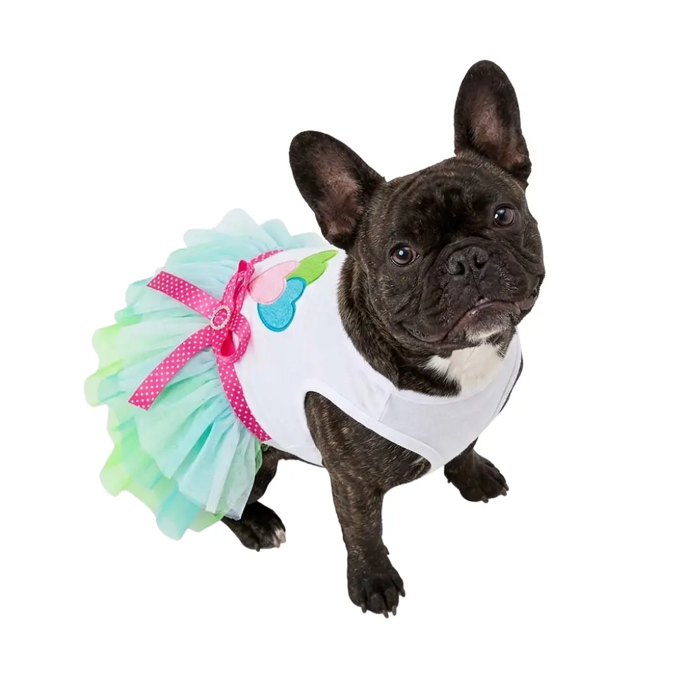Disfraz Princesa para Perrita Vestido Halloween Verde y Azul Talla S 2