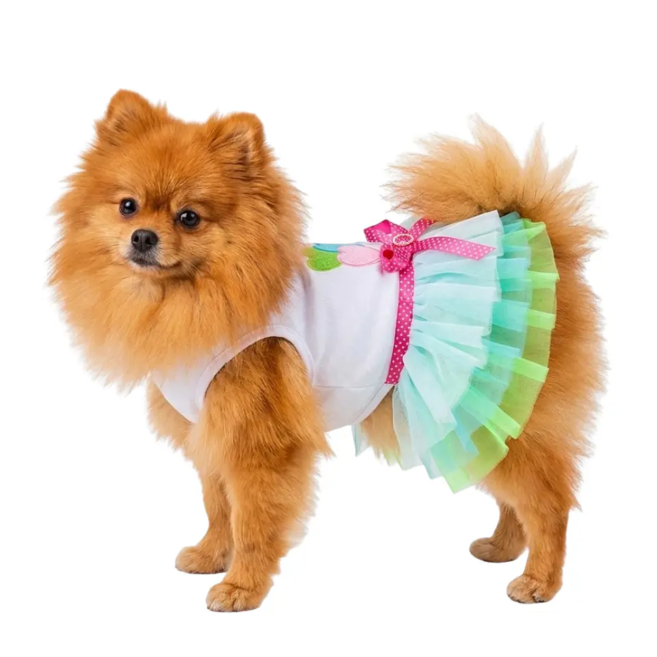 Disfraz Princesa para Perrita Vestido Halloween Verde y Azul Talla S 3