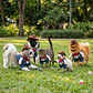 Disfraz Vaquero Cowboy para Perro y Gato Halloween Azul y Blanco Talla L - Miniatura 5