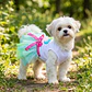 Disfraz Princesa para Perrita Vestido Halloween Verde y Azul Talla M - Miniatura 5