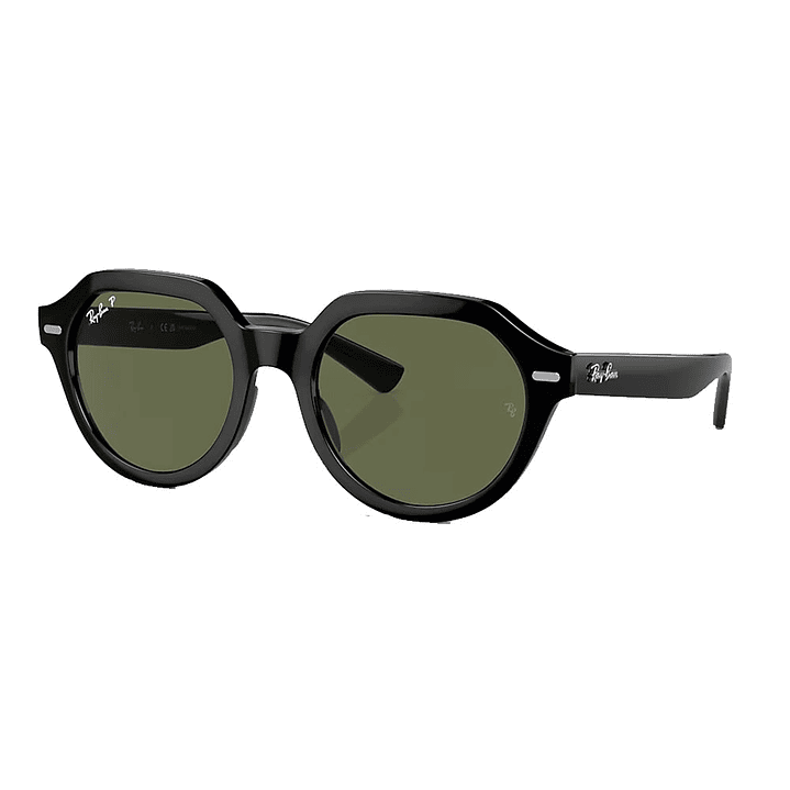 Lentes de Sol Ray Ban Gina RB4399 901/31 Negro 51mm 1