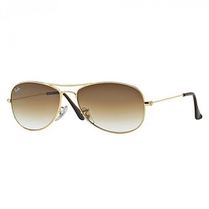 Lentes de Sol Ray Ban Cockpit RB3362 001/51 Color Marron Talla 59mm