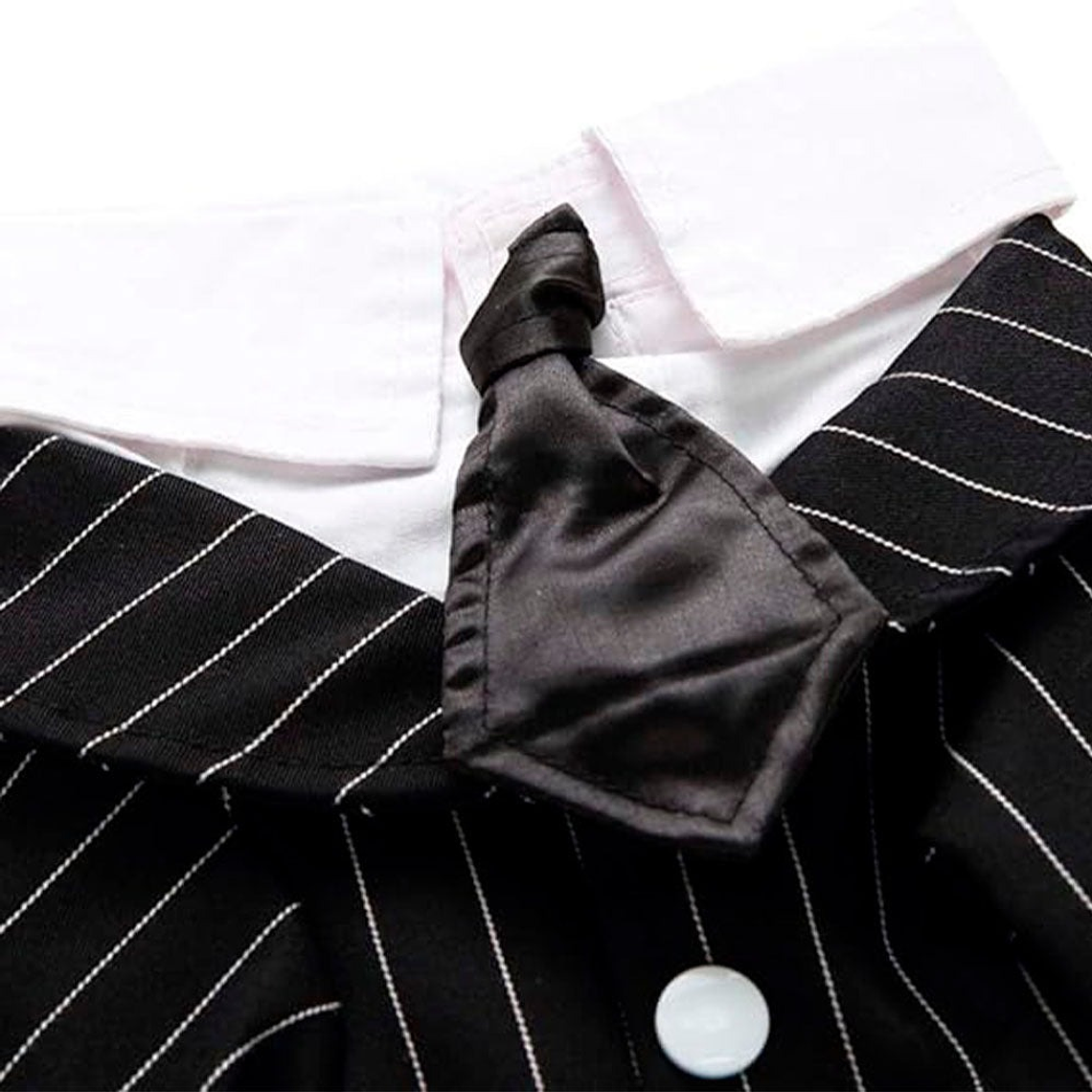 Disfraz para Perro Traje de Boda Negro y Blanco Talla L 6