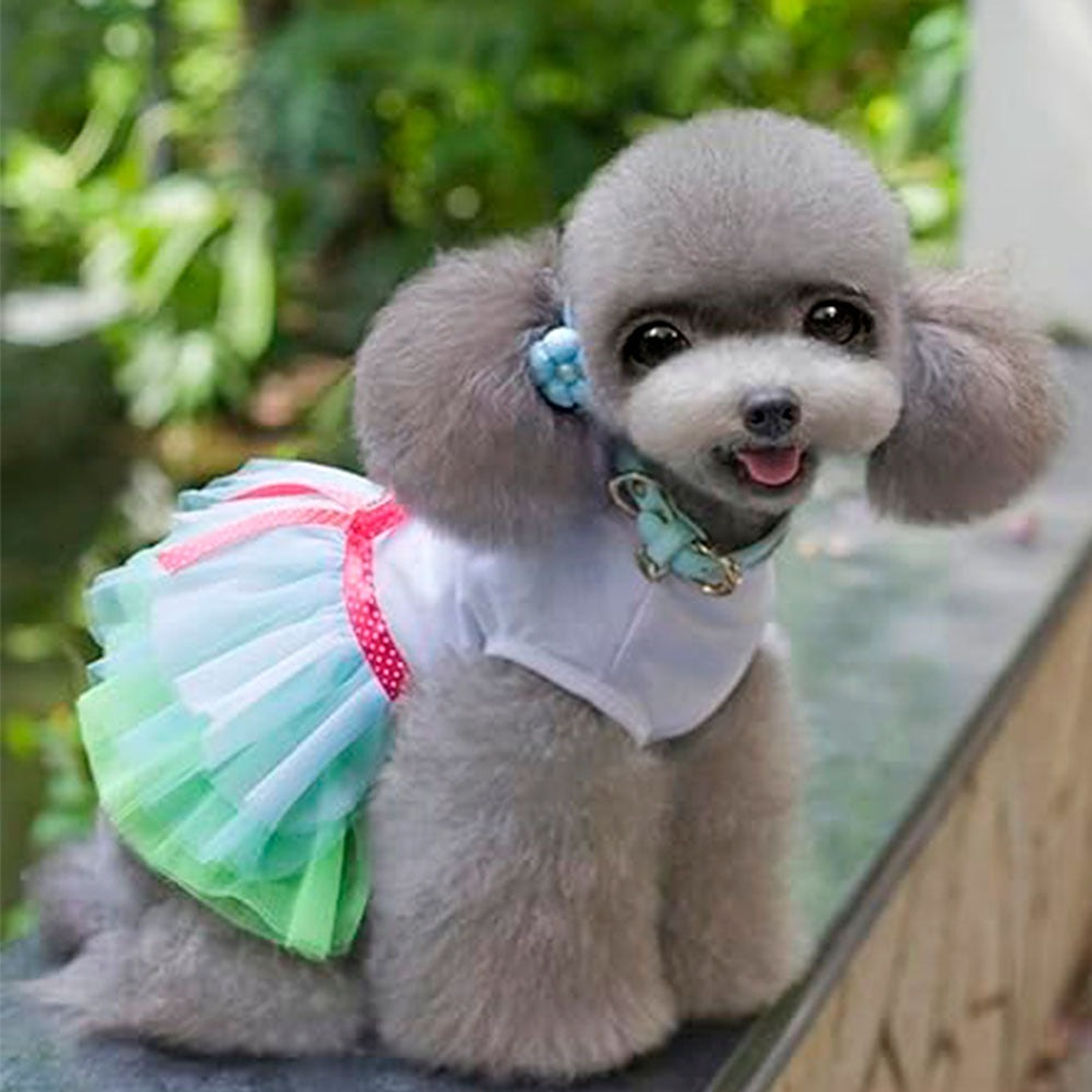 Disfraz  para Perro Vestido Princesa Verde y Azul Talla L 3