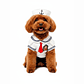 Disfraz  para Mascota - Marinero Talla M - Miniatura 1