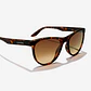 Lentes de Sol Hawkers Trail HTRA24CWT0 - Miniatura 3