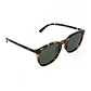 Lentes de Sol Invicta I28822-WIL-40-G15 - Talla 53mm - Miniatura 3