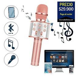 Microfono parlante karaoque con bluetooth radio FM USB y micro SD con ajuste de voz