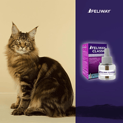 Feliway Classic Recambio 48 ml