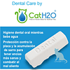 Kit de 8 Tabletas Dental Care para Fuente H2O
