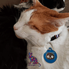 Placa de Identificación Cara de Gato