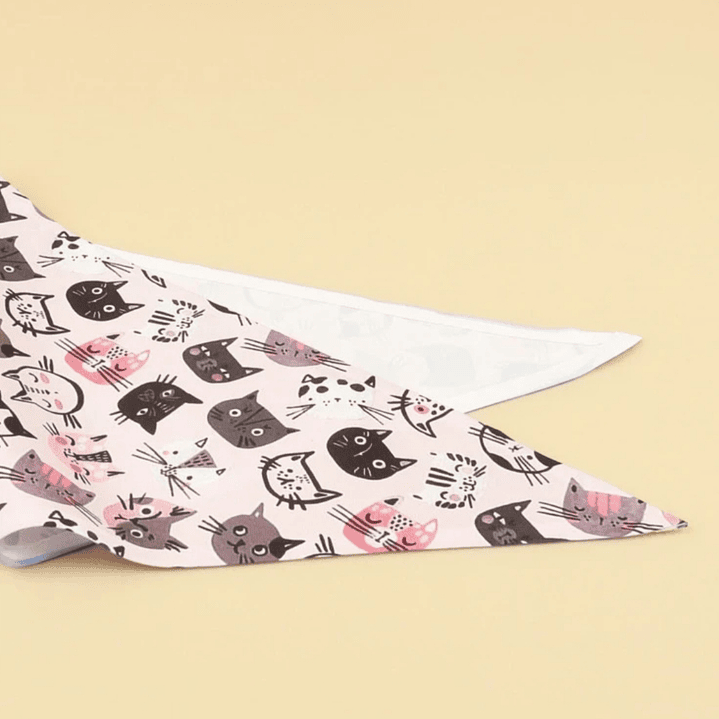 Bandana para Gatita 3