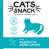 Galletas con Catnip Cats Snack