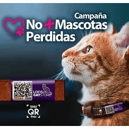 Bandita QR Campaña No Más Mascotas Perdidas
