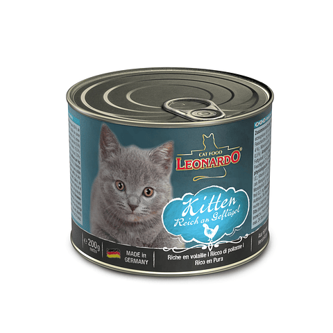 Leonardo Latas Quality Selection Kitten