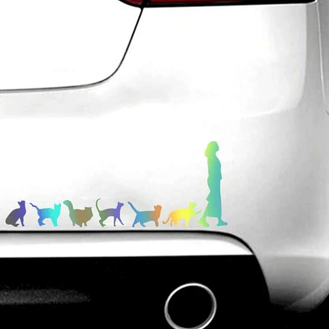 Vinilo Para Auto Cat Lady + 6 Gatos