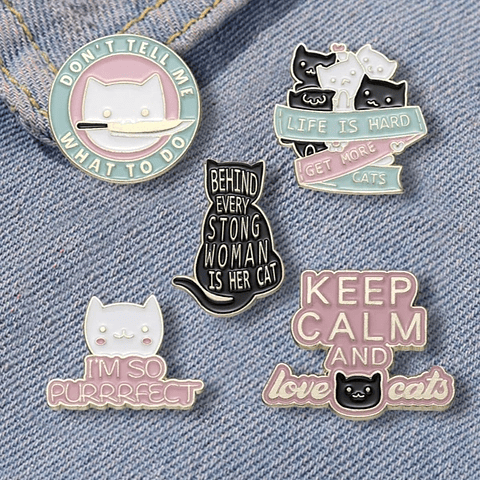 Pins Motivations Cats