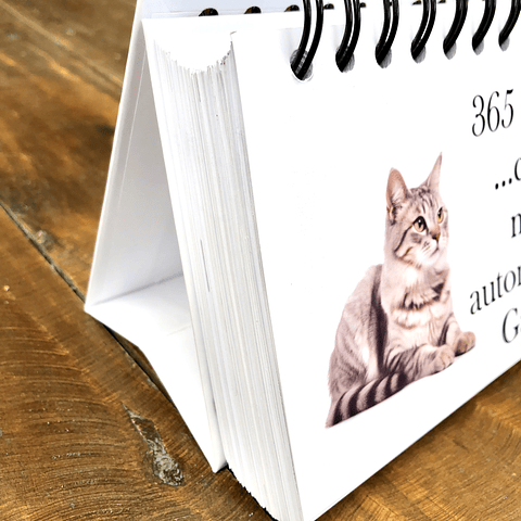 Calendario de Escritorio 365 días gatunos