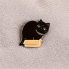 Pin Gato Negro en Caja