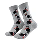 Calcetines Gatos con Bufanda  - Miniatura 1