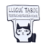 Pin Gato Llegue Tarde