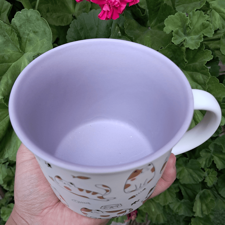 Tazón Gatos con Interior de color 4