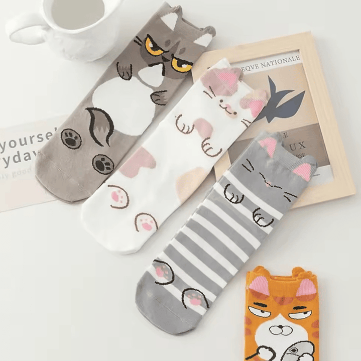 Calcetines Gatitos 10