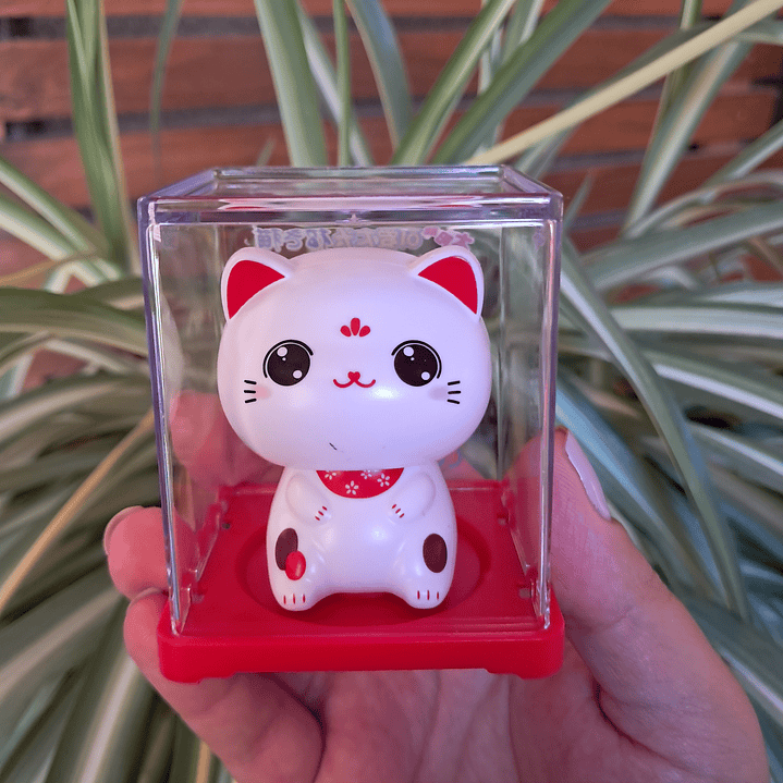 Gato de la Suerte Solar 11