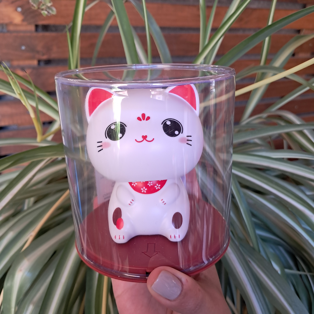 Gato de la Suerte Solar 13