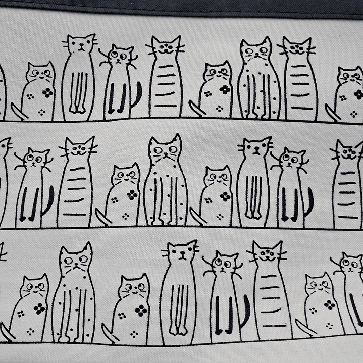 Bolso Muchos Gatos 3