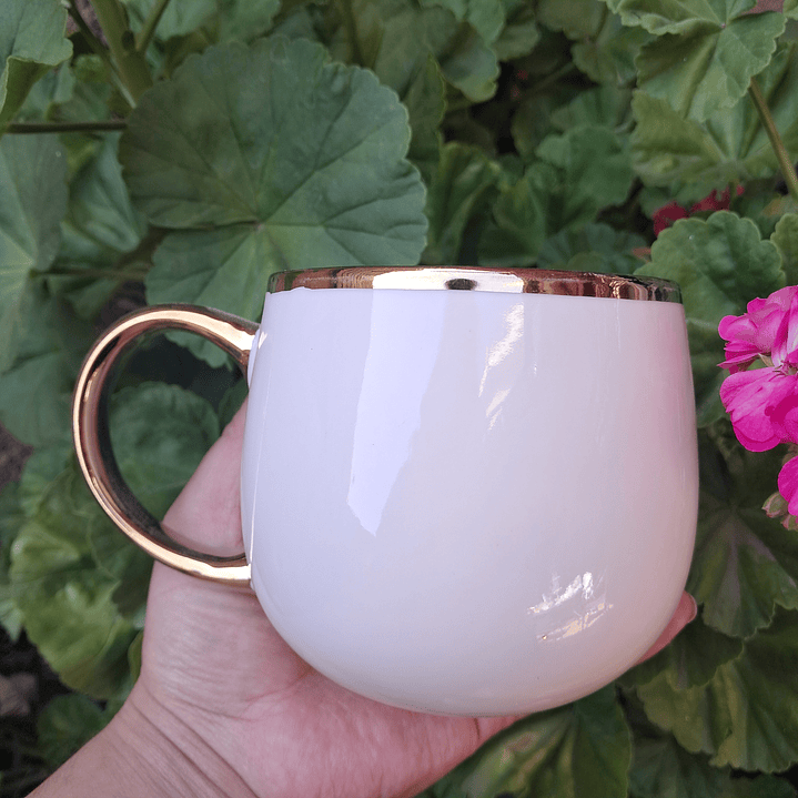 Tazón Gatos Dorados 13