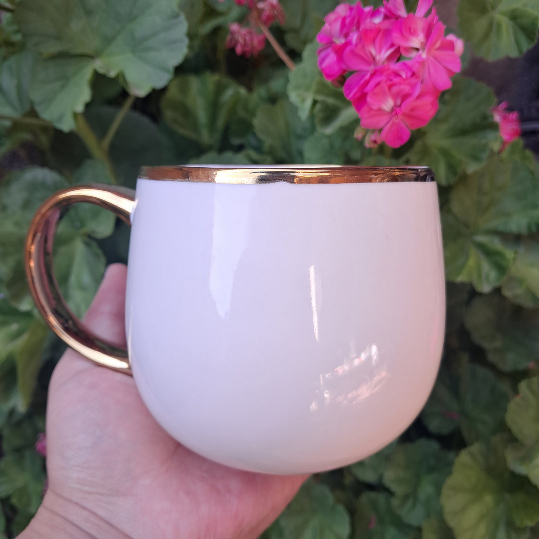 Tazón Gatos Dorados 15