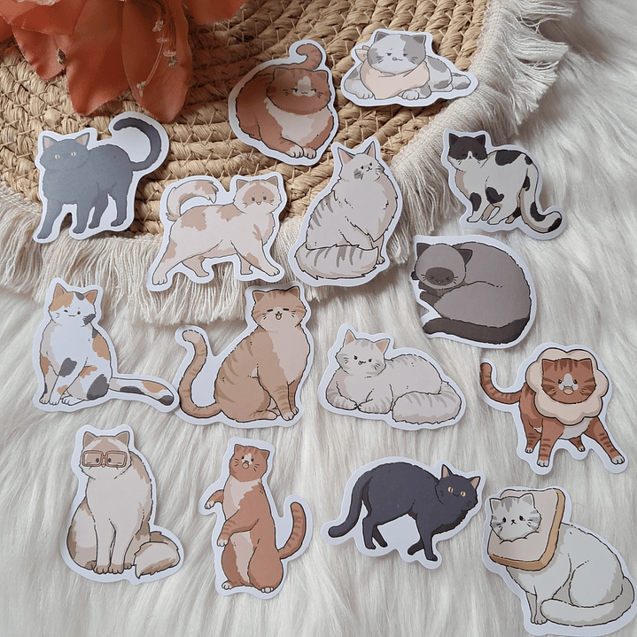 Set 60 Stickers Gatos 1