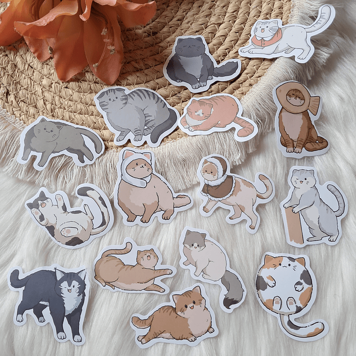 Set 60 Stickers Gatos 3