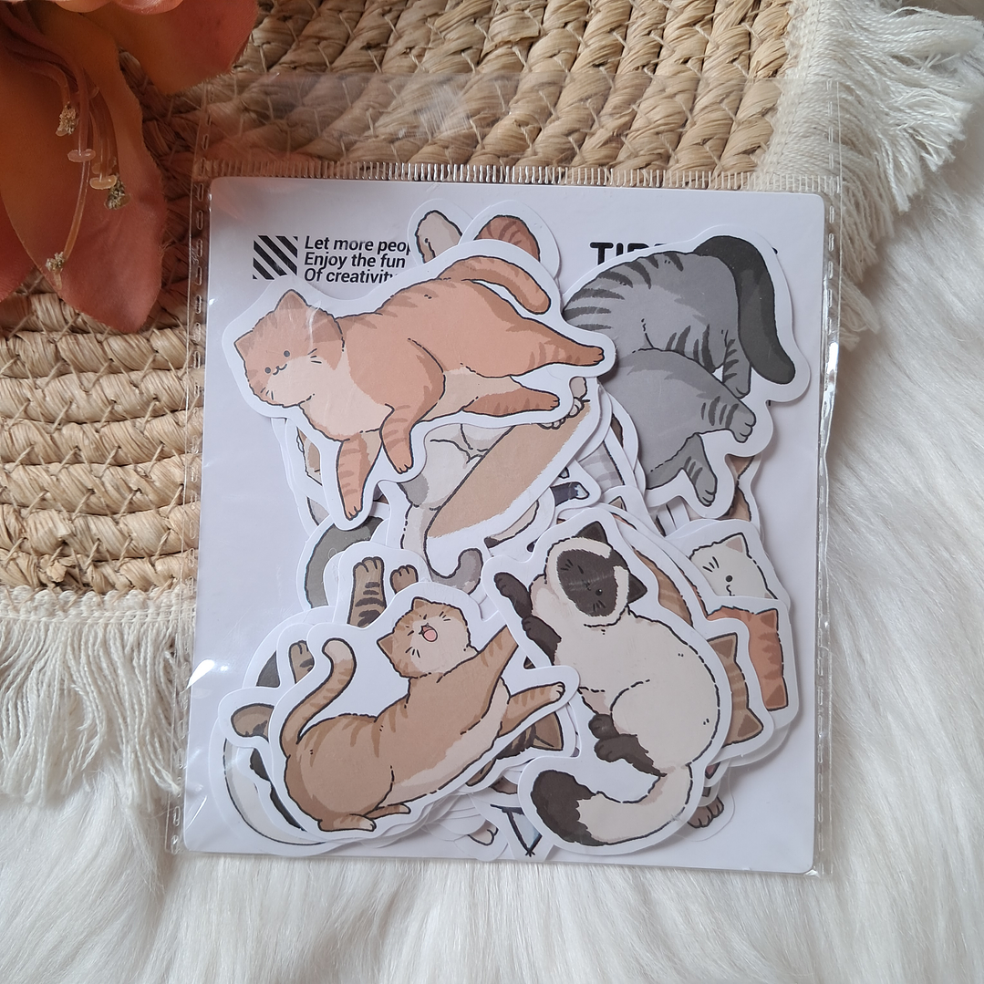 Set 60 Stickers Gatos 4